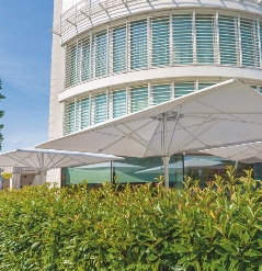 Three white parasols opened with centre poles