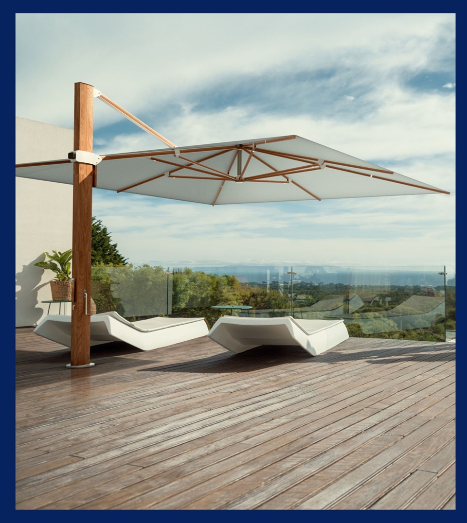 Aura umbrella Facts Box cover photo Aura umbrella Facts Box cover photo
