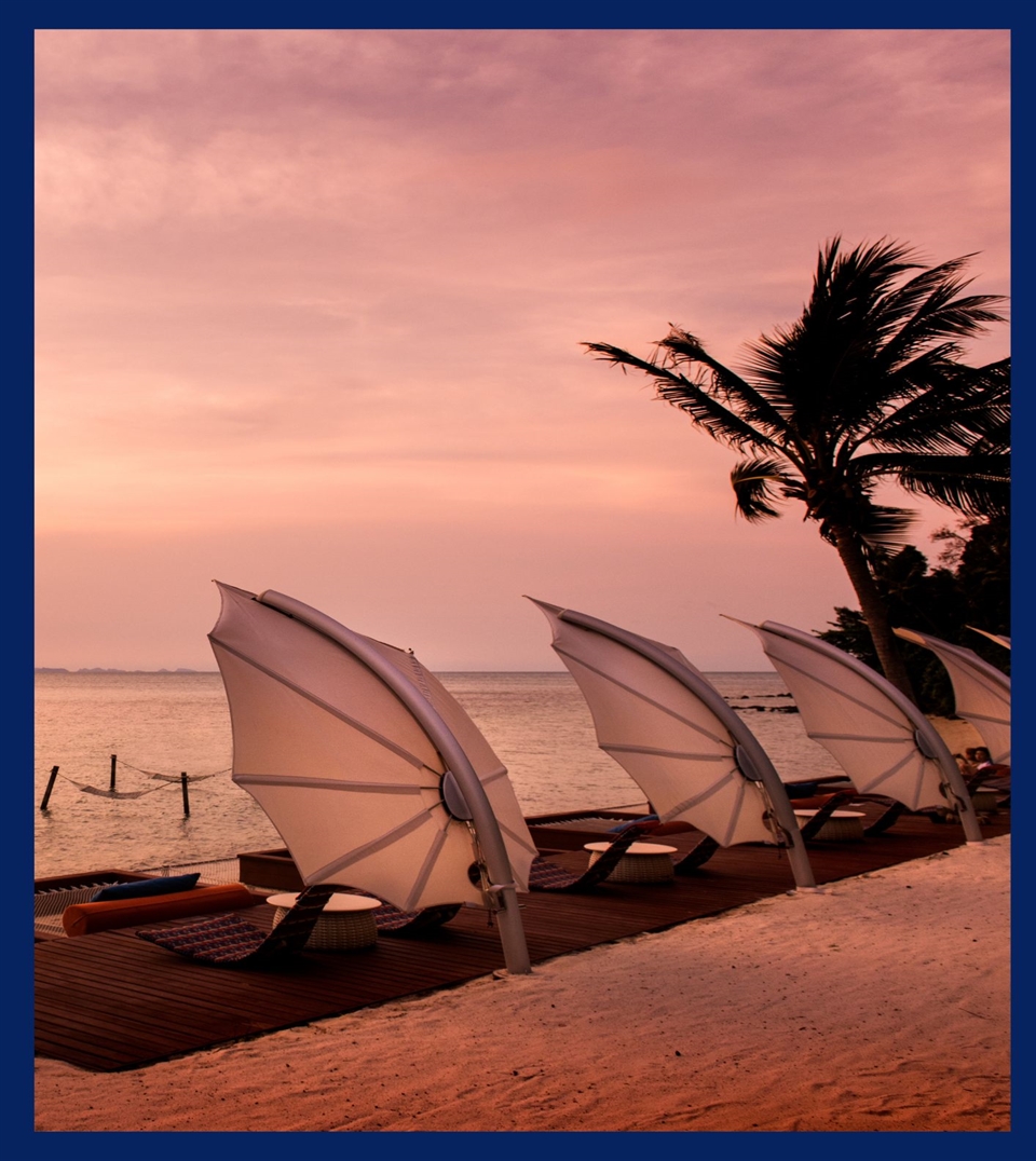 Umbrosa Icarus Umbrella Facts Box Cover Photo Umbrosa Icarus Umbrella Facts Box Cover Photo