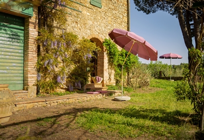 2 outdoor umbrellas with pink fabric located in an open grass area 