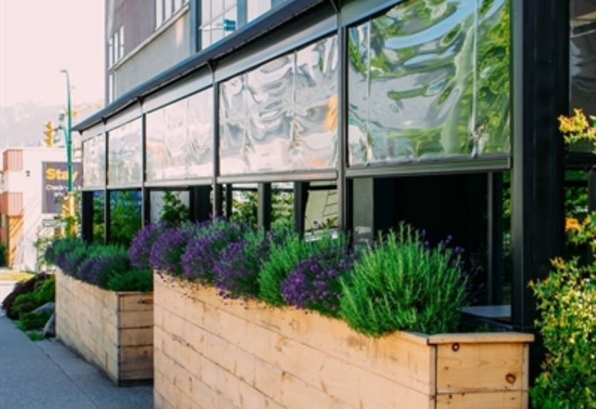 Planters filled with purple flowers sit in front of the patio with a pergola structure